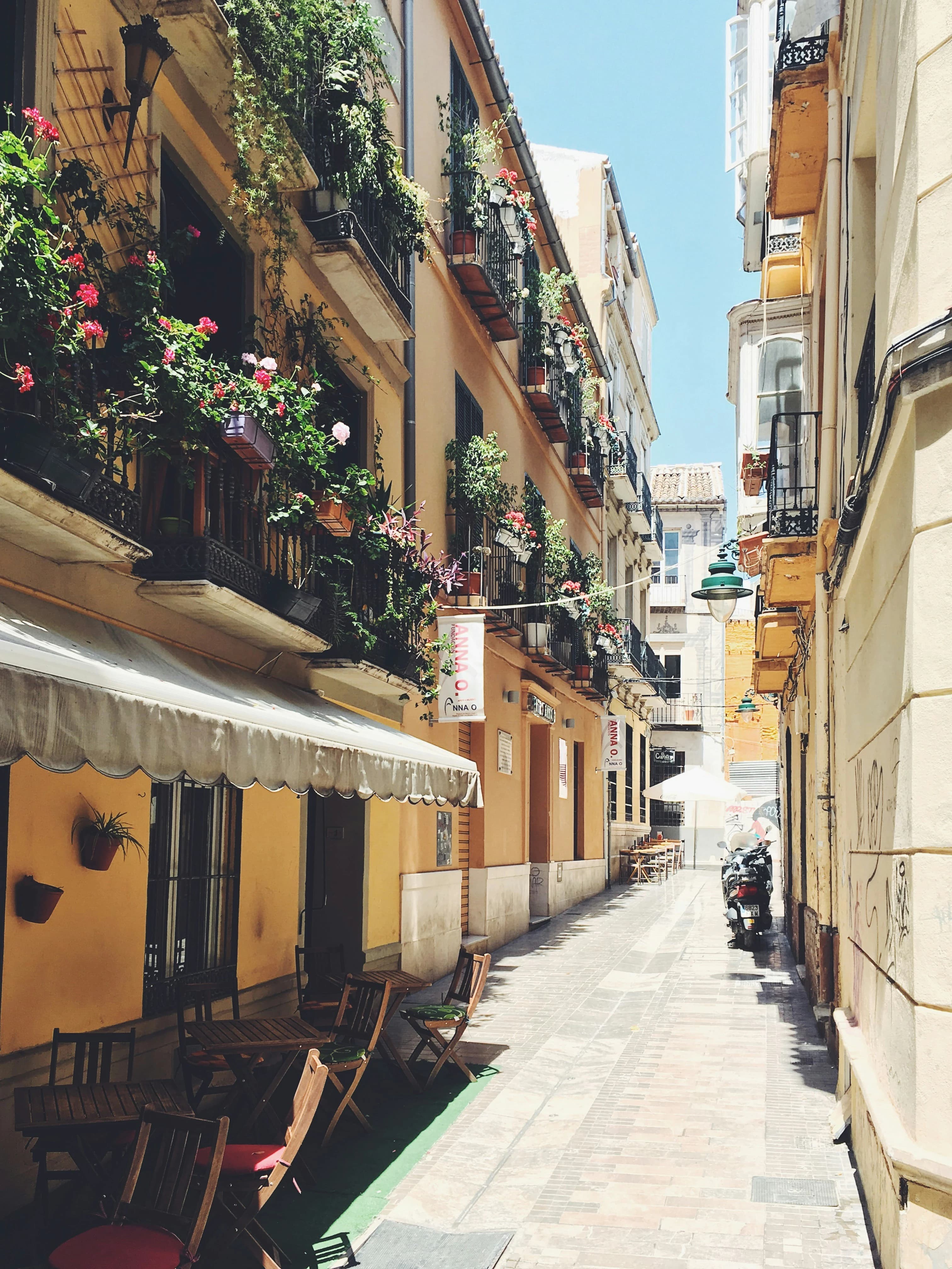Landscape in Spain - 2